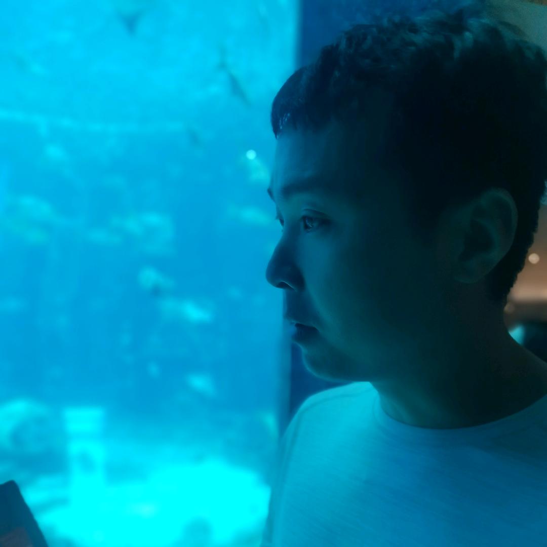 原生鱼野采玩家