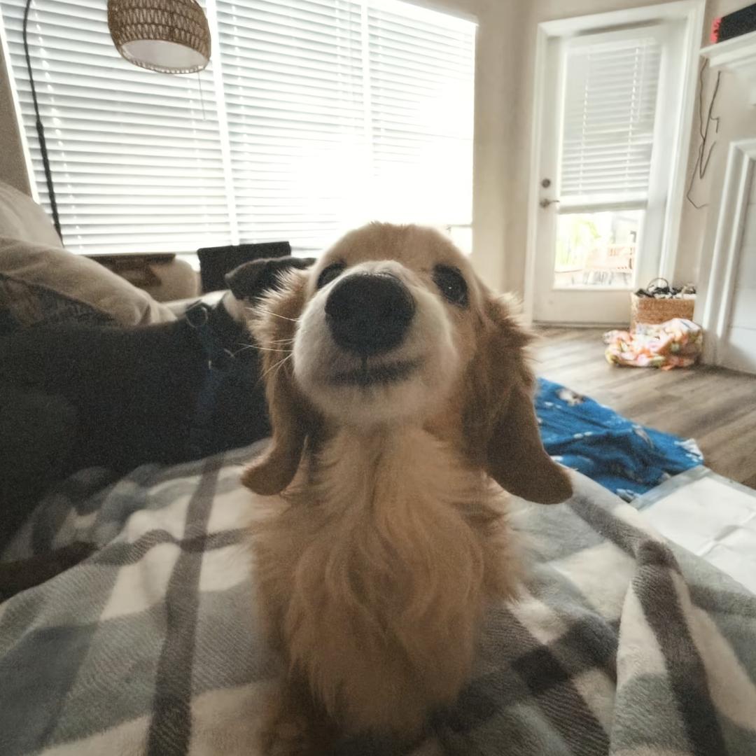 yuuuu…