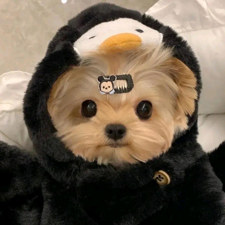 终Cx.