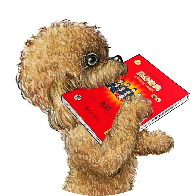 初高中复习教案专场