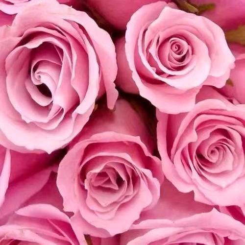 百年同仁美丽人生