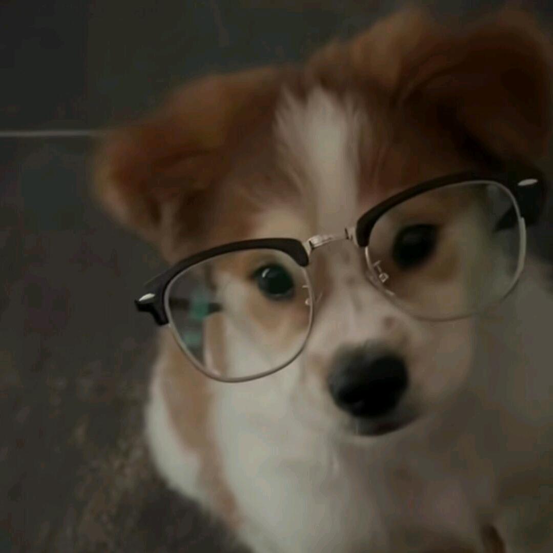 炫彩大蟑螂🪳