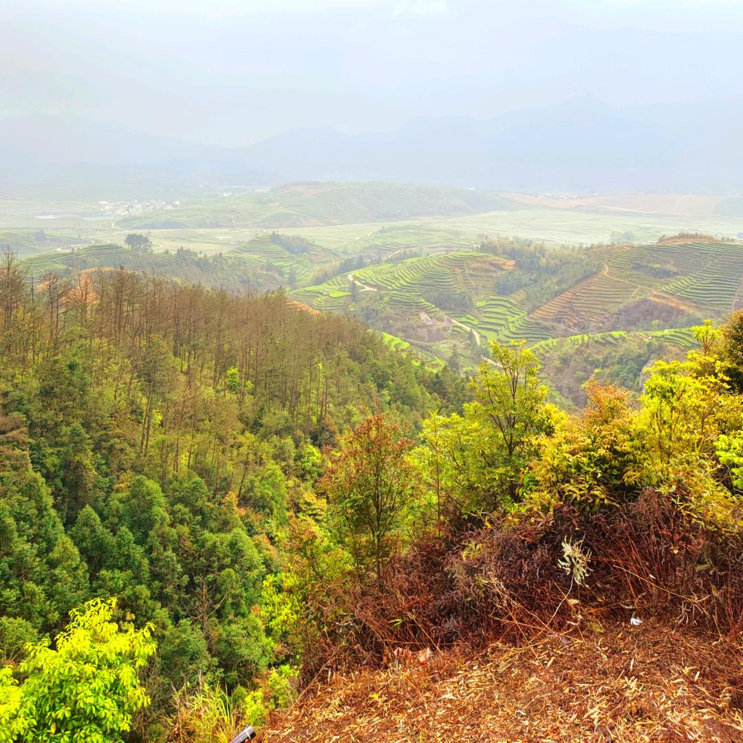 益身友益茶叶店