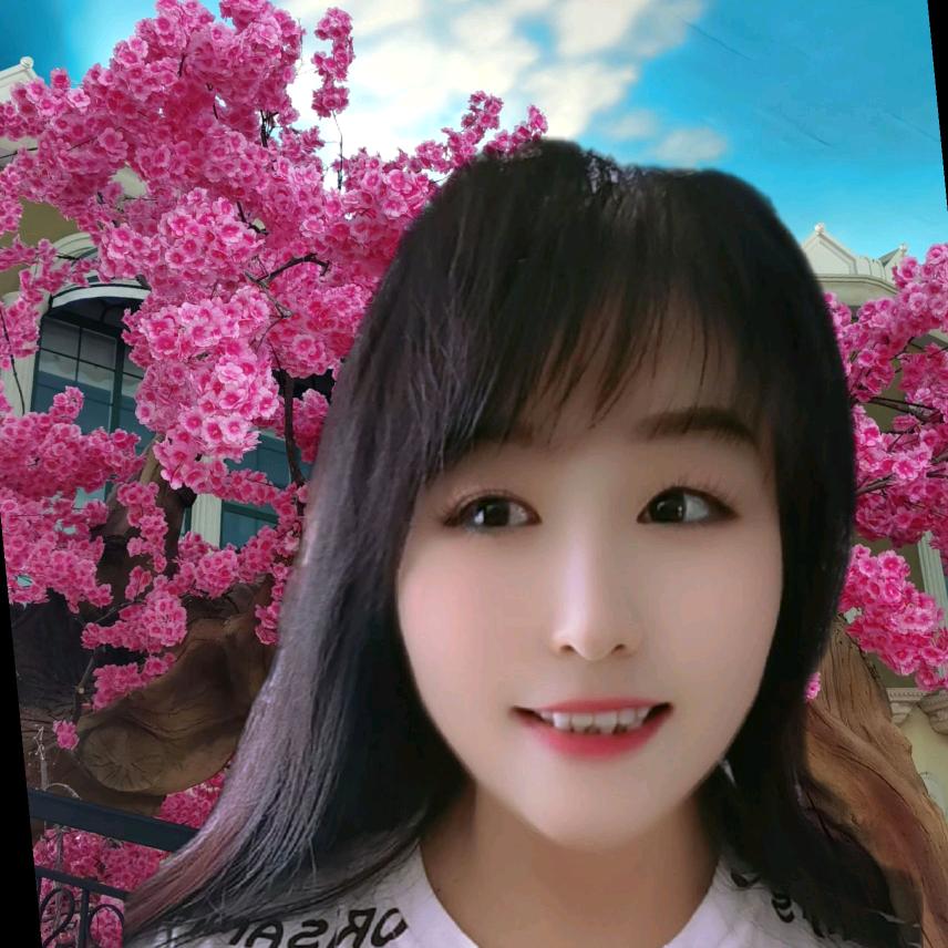 梅
