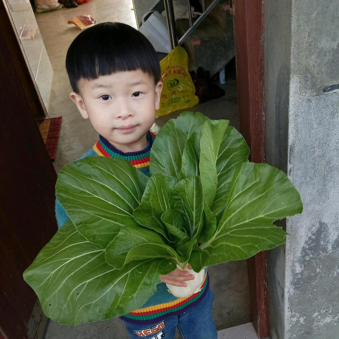珍珍。