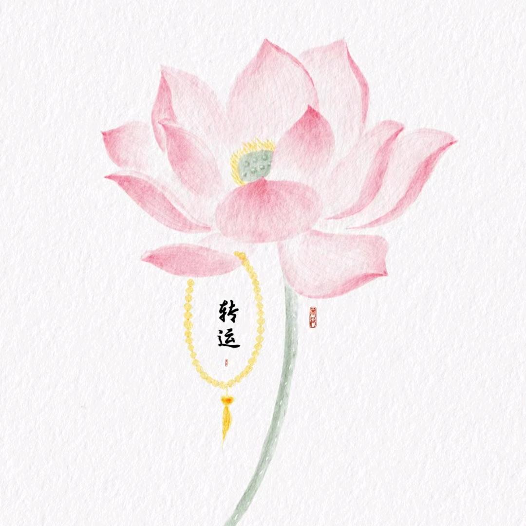 LAI·美生活调理