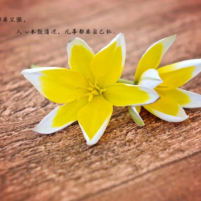 来生不相縫