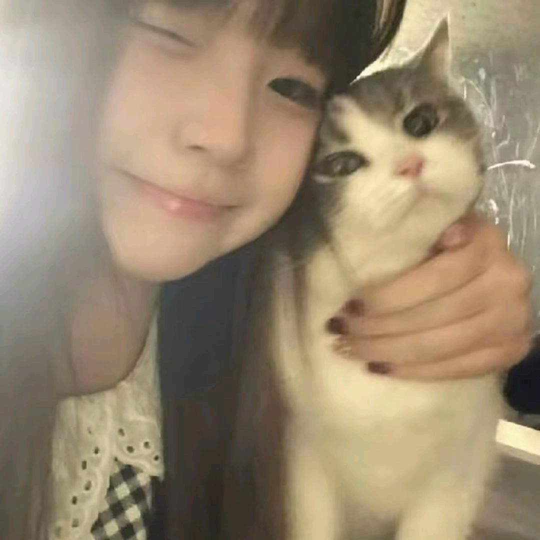 .一只眠羊.