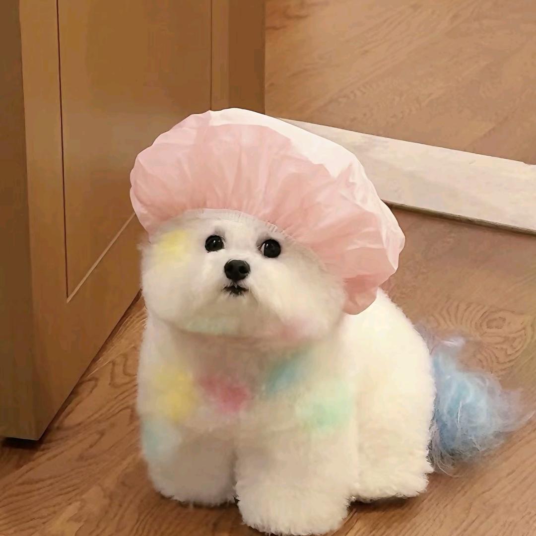 扬州市邗江槐泗风顺餐馆