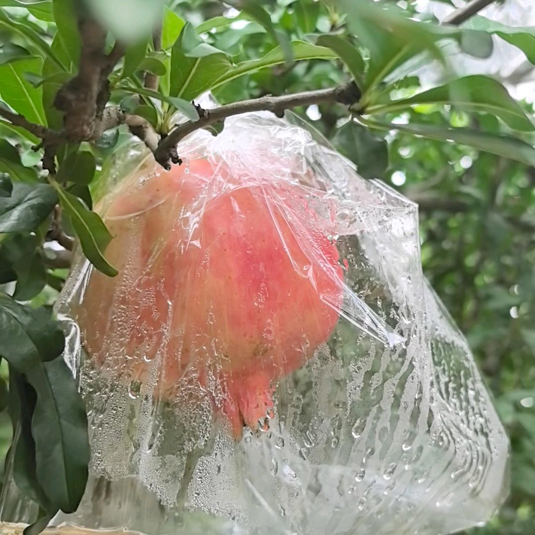 阿吉甄选