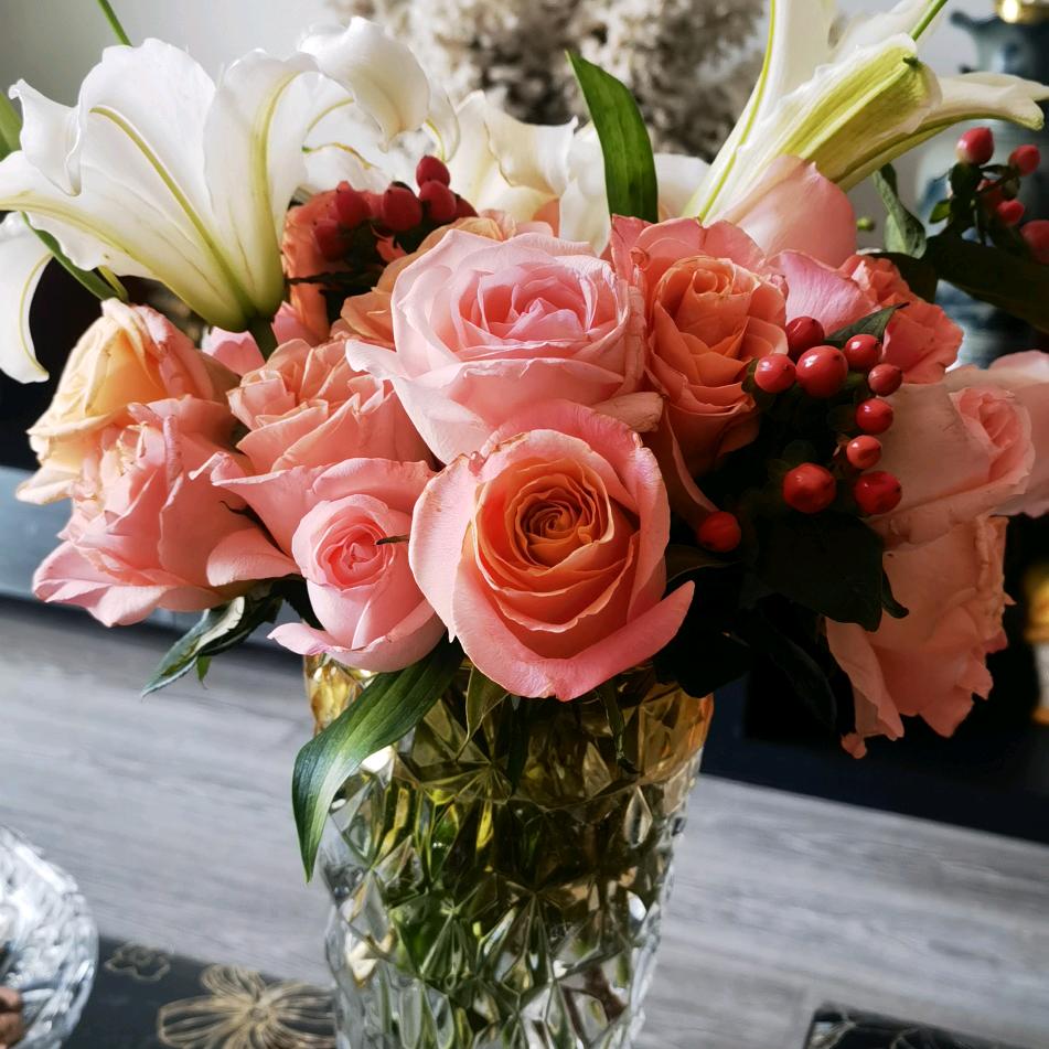 青梅杏雨浅浅落（拒私聊）