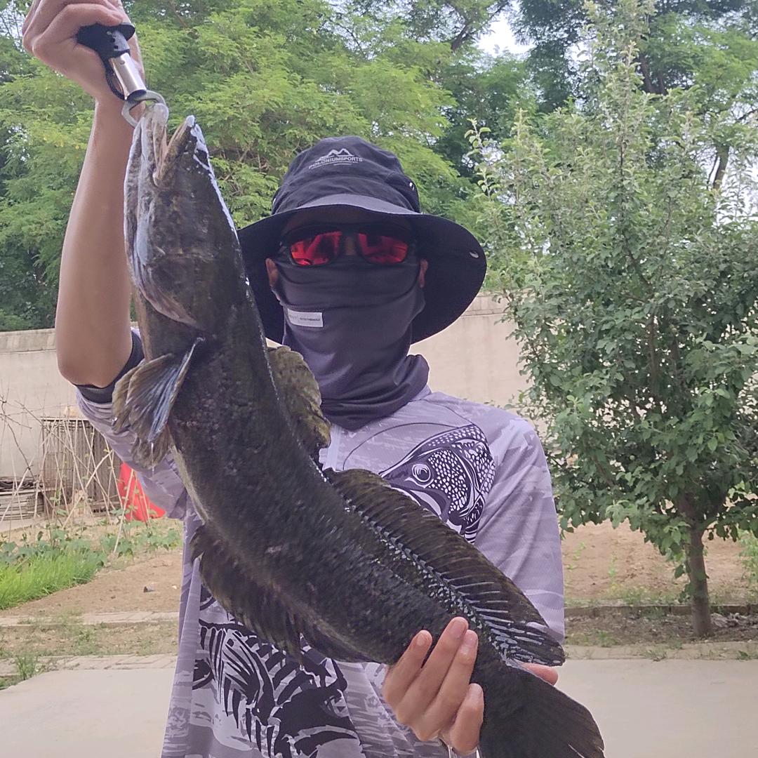 老菲钓鱼笔记🎣（菲拉落）