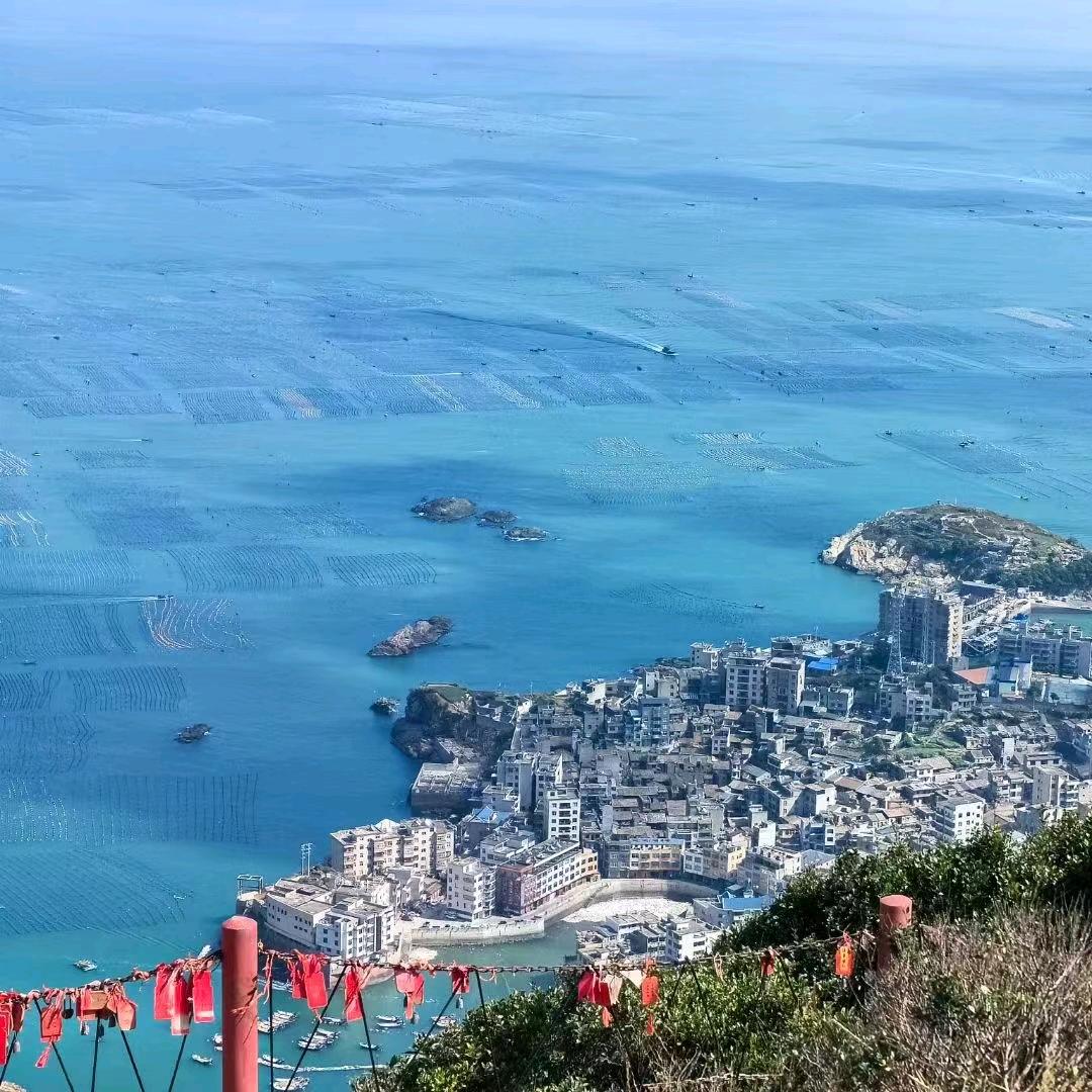 周周不喝粥