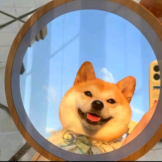 擒贼先亲王先森