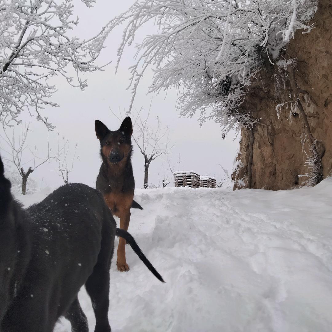 交口麻辣个烫！老酵发面油酥饼