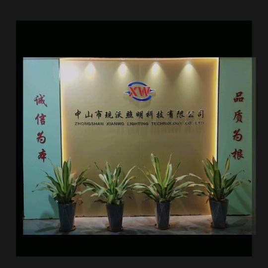 广东现沃照明—高端灯具定制商