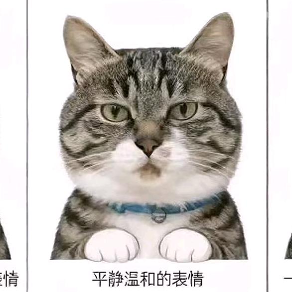 ♈丫头