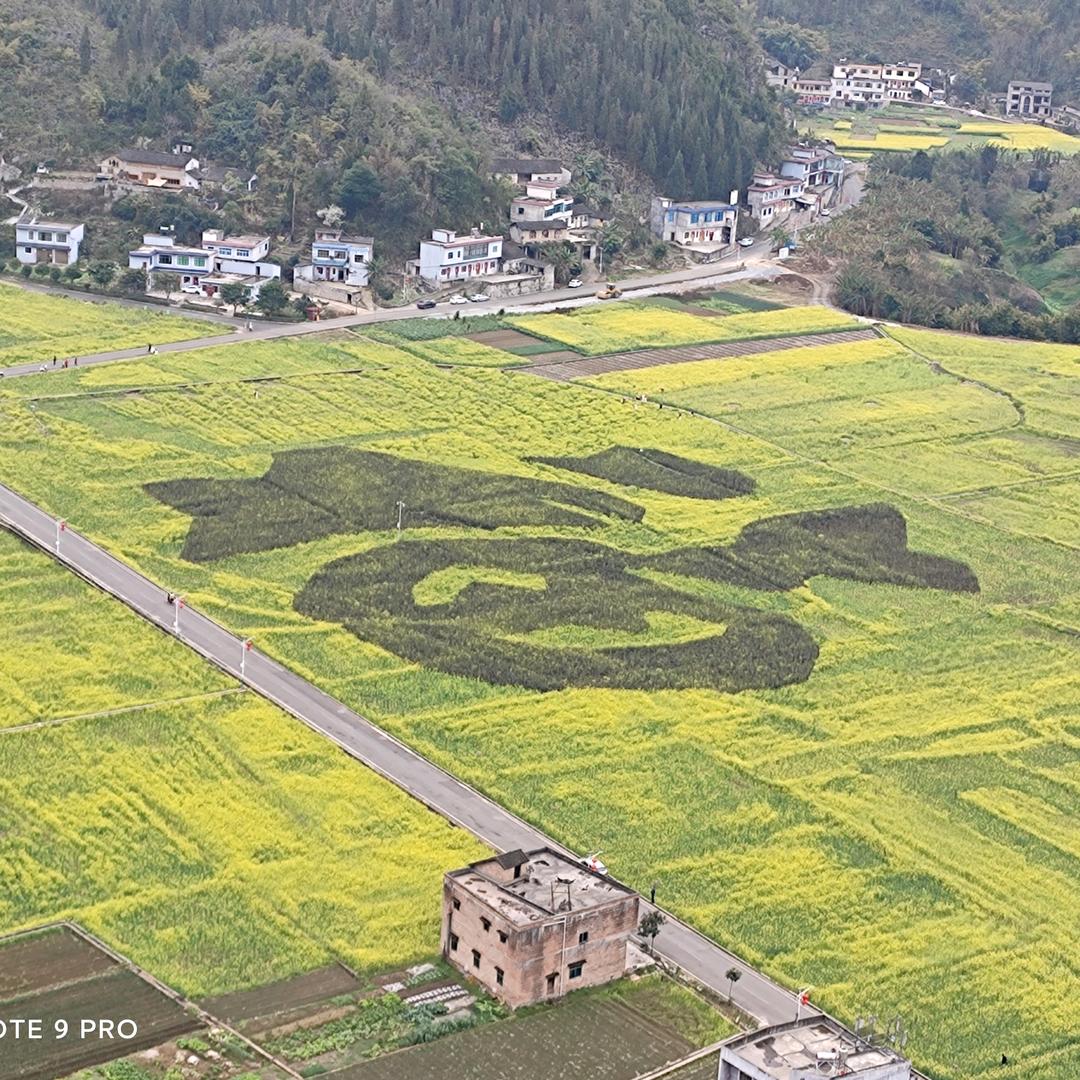平安顺遂