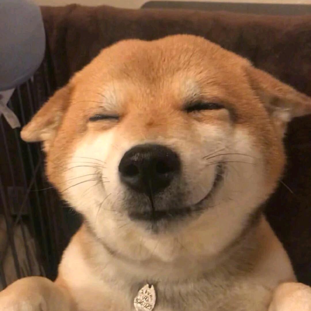 超级无敌暴龙战士