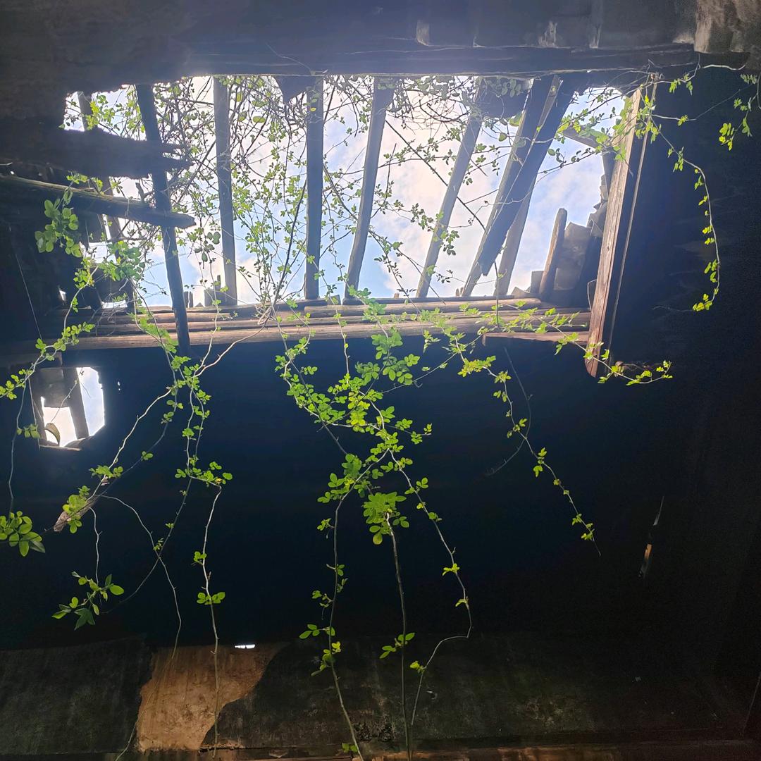 笑着伪装$我不顾