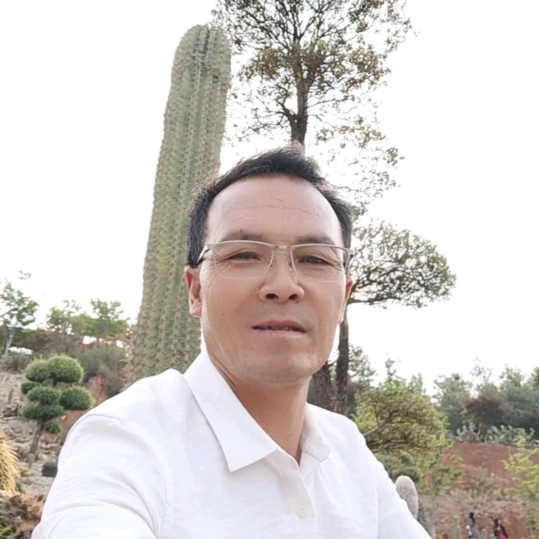 远方的哥