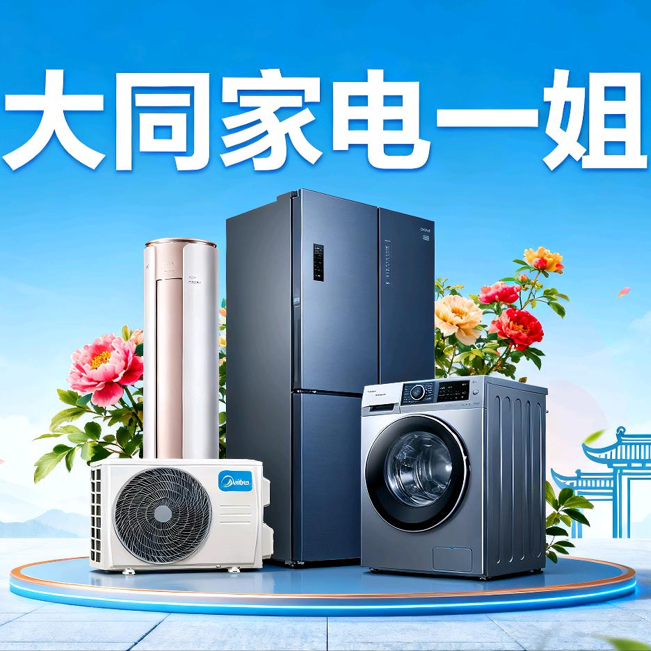 大同家电一姐