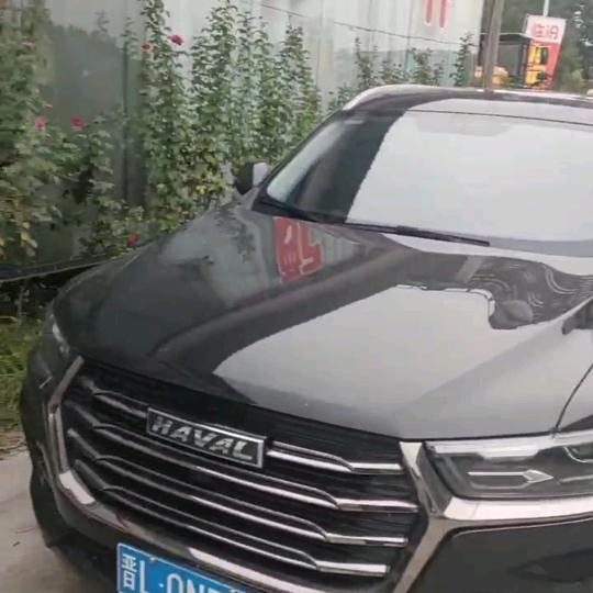 养了一只小黑(HAVAL)