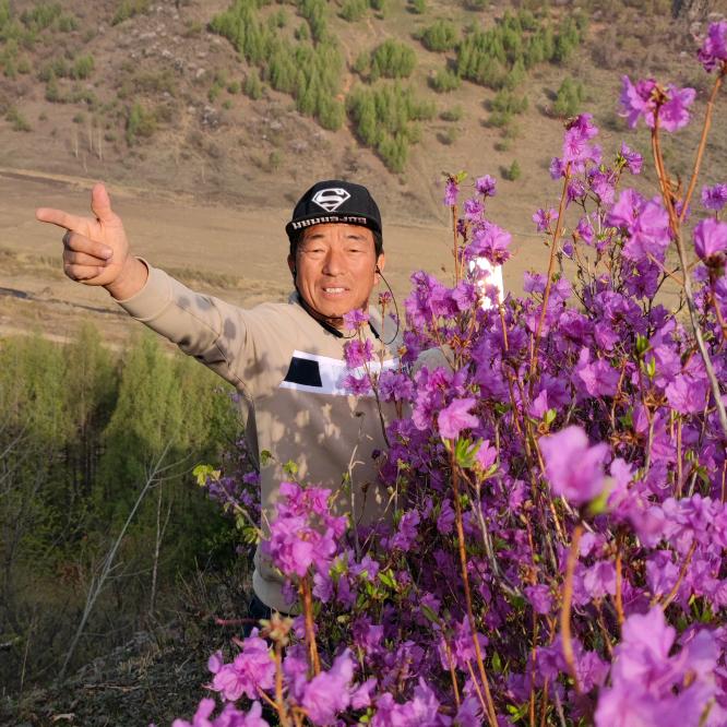 延边三翠