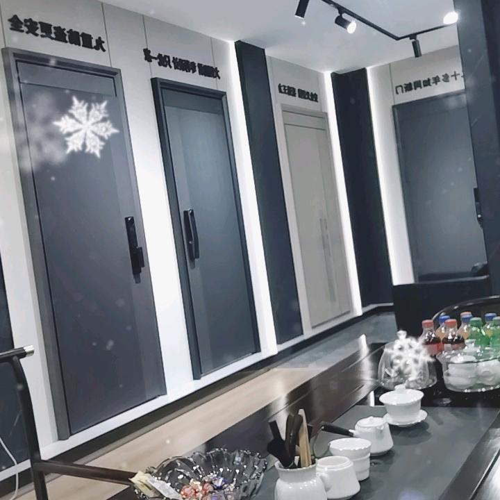 呼市王力安全门