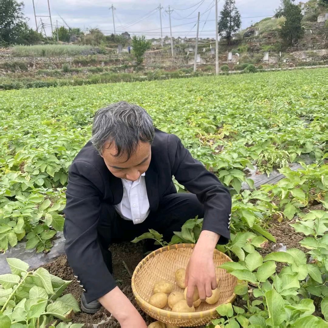 平哥