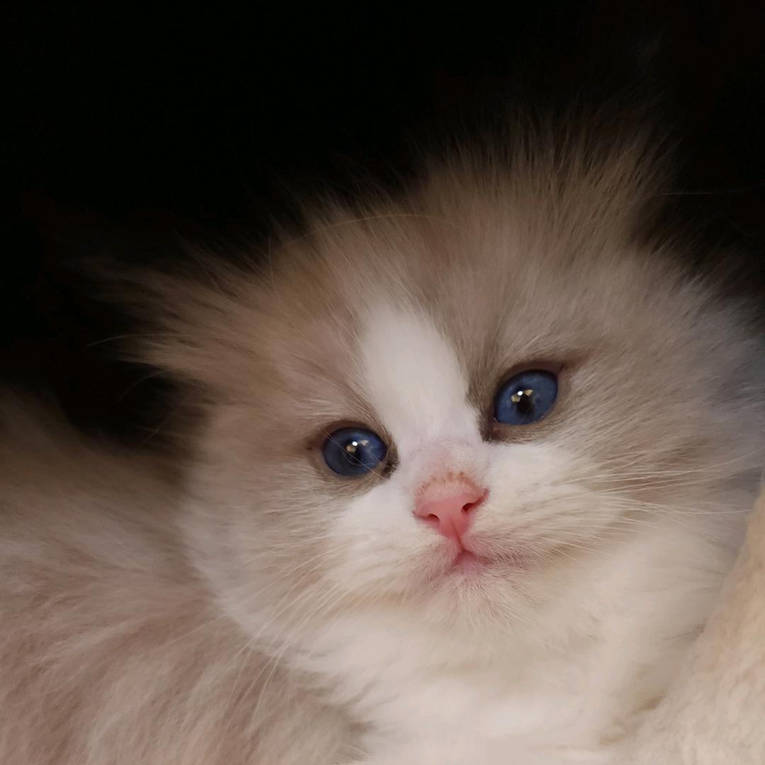 亿馨
