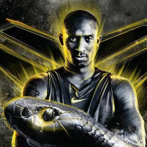 黑曼巴靖江美涂士