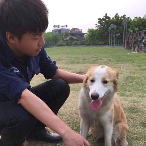 轻狂书生