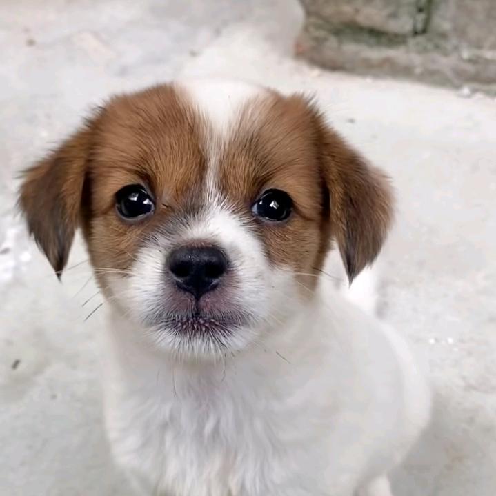 @星辰大海$