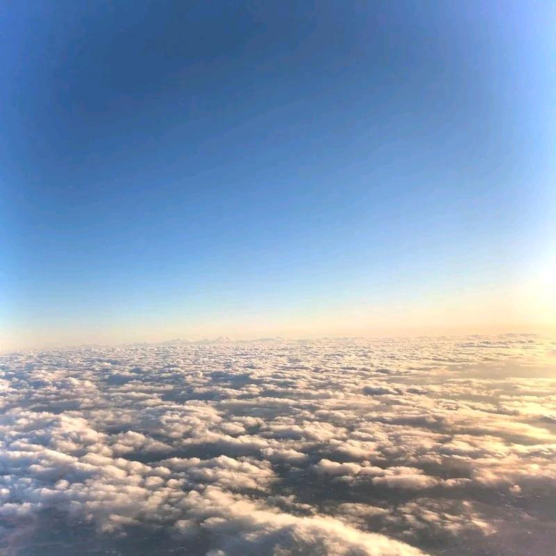 Fly