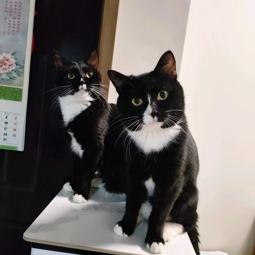 黏糕麻麻😸😸😸😸