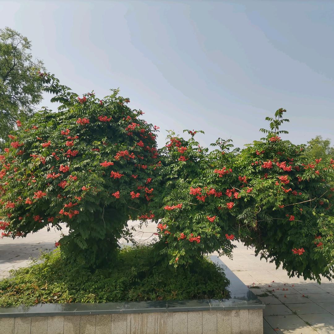 洛阳融科祝老师