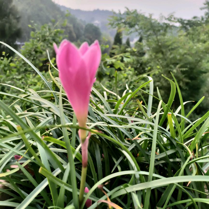 人生如梦