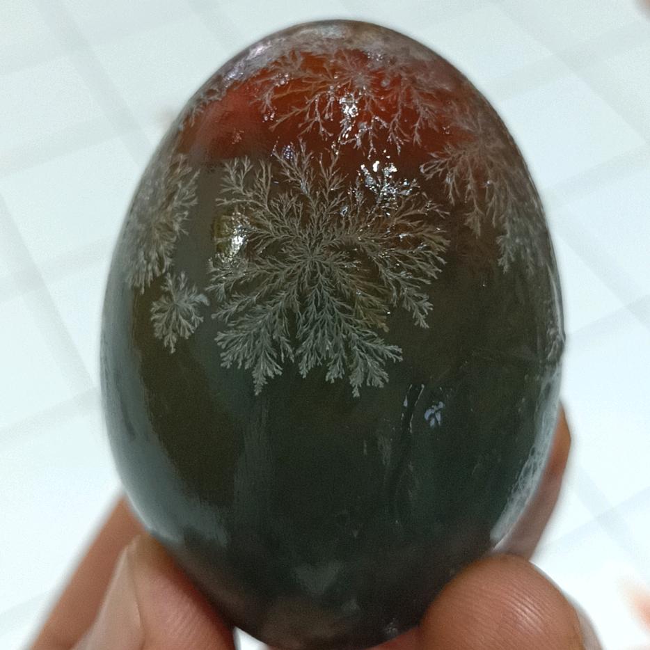 捣蛋大王（松花皮蛋厂家直销）
