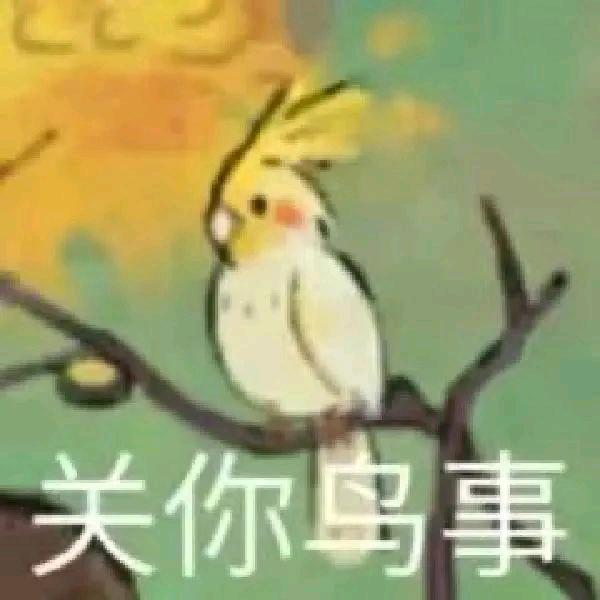 不会拍照的小苏