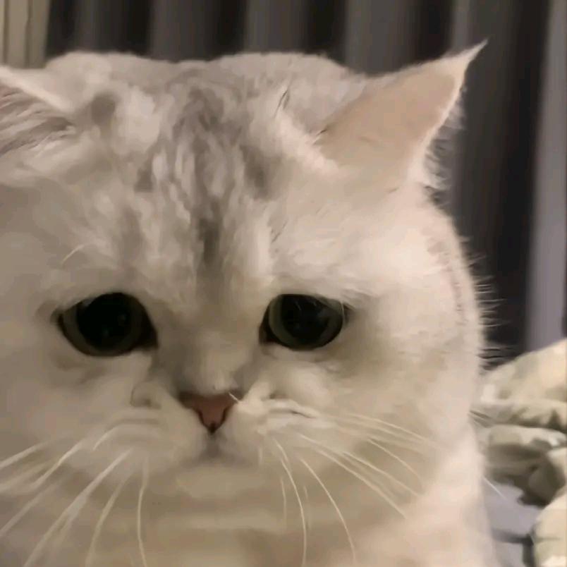 東瑾