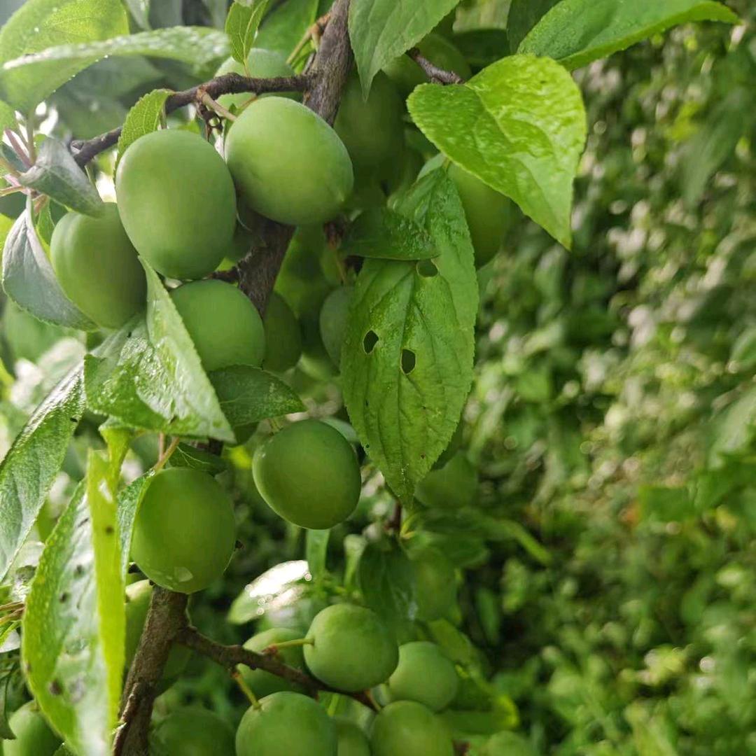 《七0》后的🌺奶奶🌺