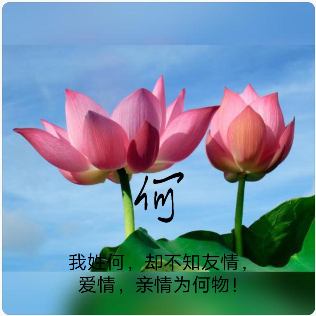 凡夫俗子@