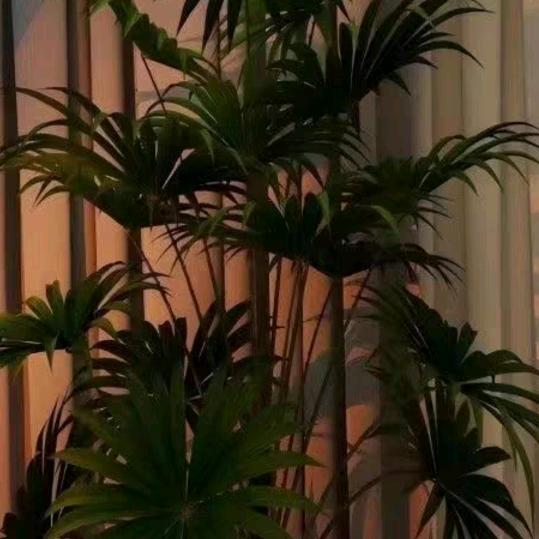 游客
