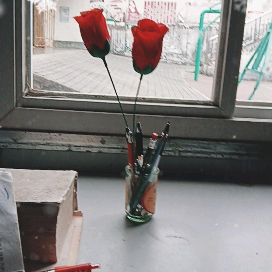 一枝梅🌹🌹