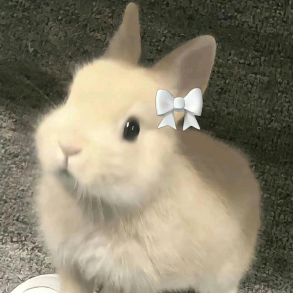 柿柿柿柿柿柿柿柿柿子~🐑