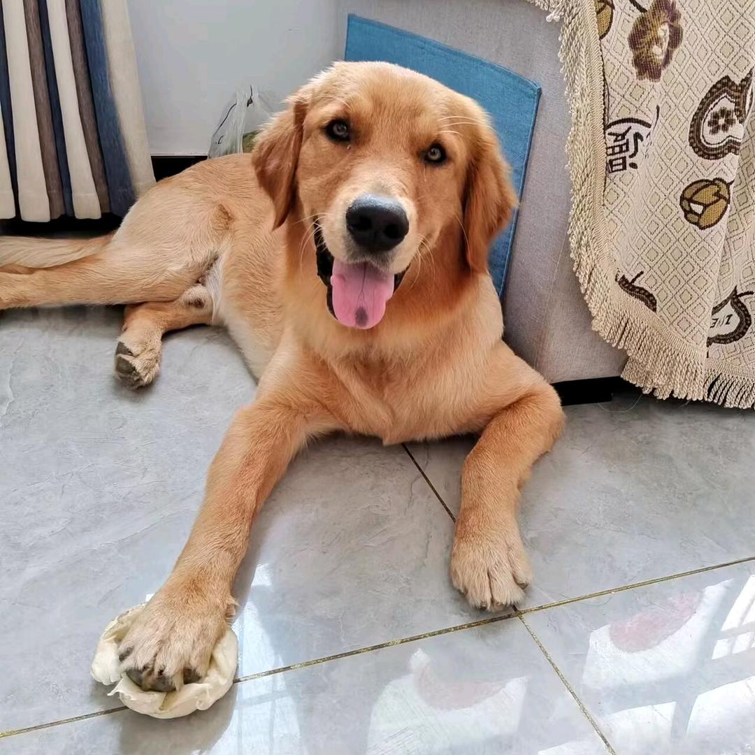 景硕.滨河云墅杨霞