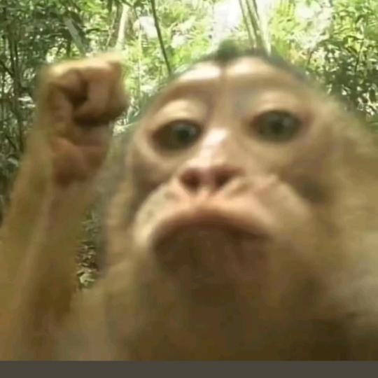 黄超超