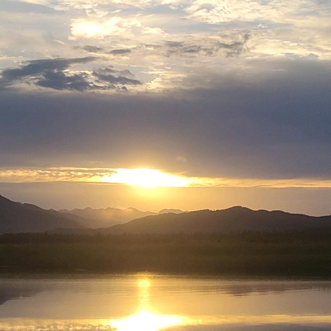 倘若南风知我意