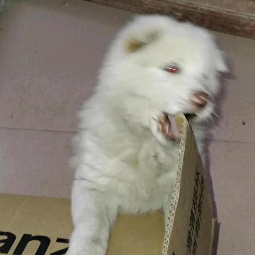 撻